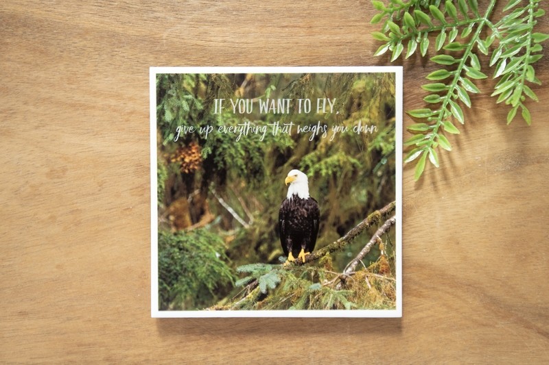 If You Want To Fly-Nature Photo Coaster