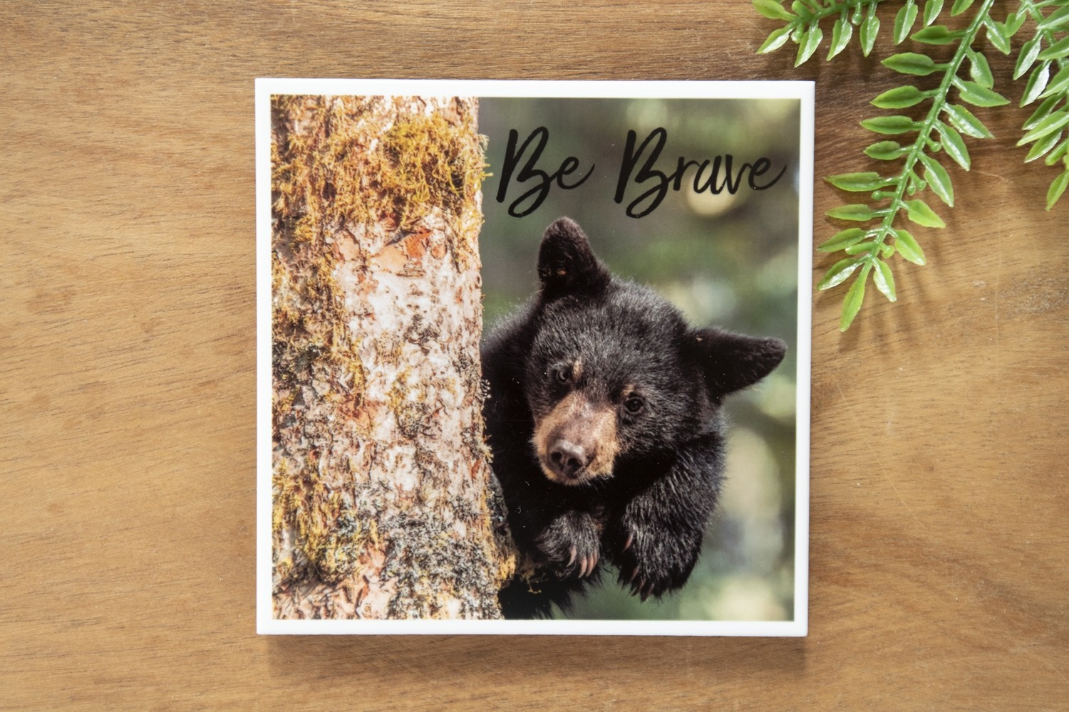 Be Brave-Nature Photo Coaster