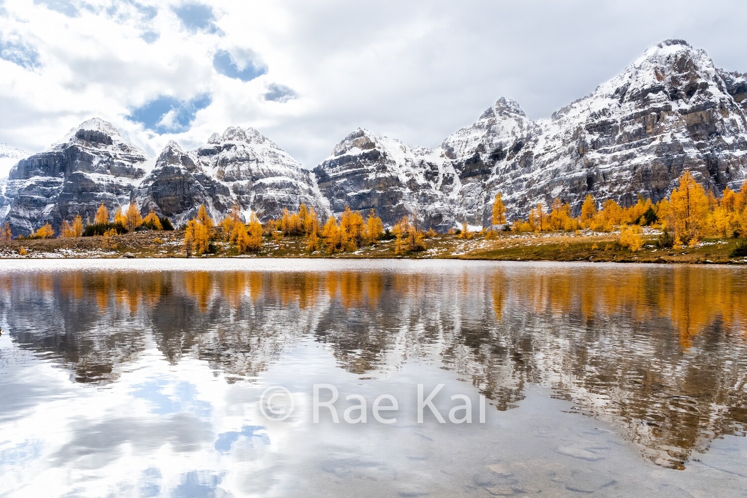 Larch Reflection-Traditional Photo