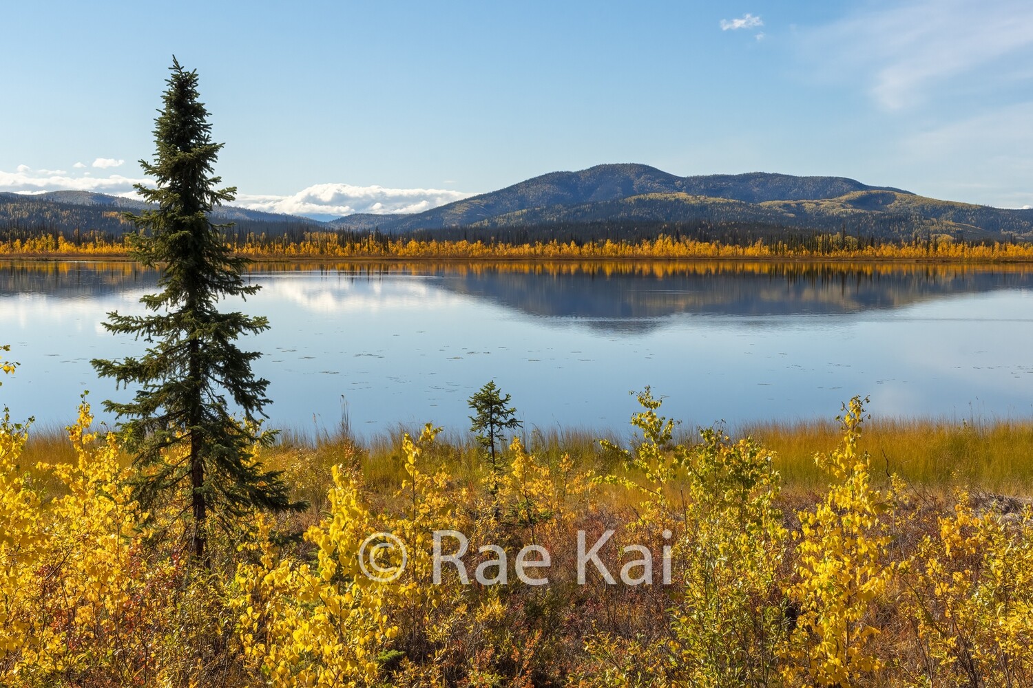 Fall Lake-Traditional Photo