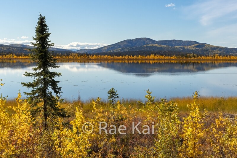 Fall Lake-Traditional Photo