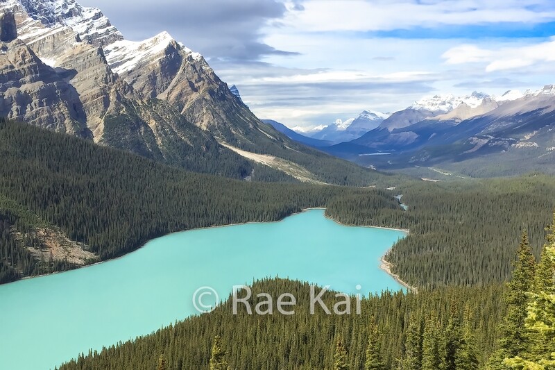 Peyto Lake-Traditional Photo