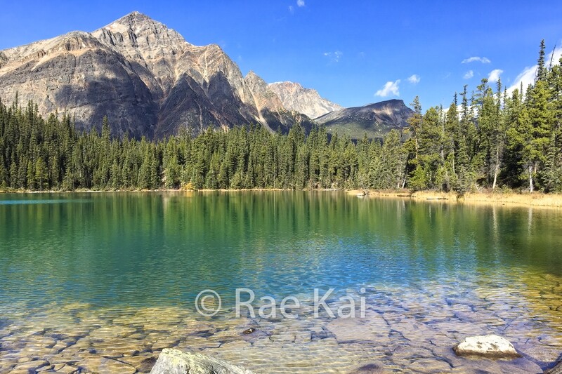 Summer Lake-Traditional Photo