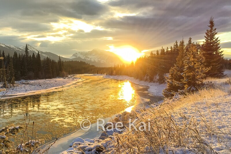 Winter Sunrise-Traditional Photo