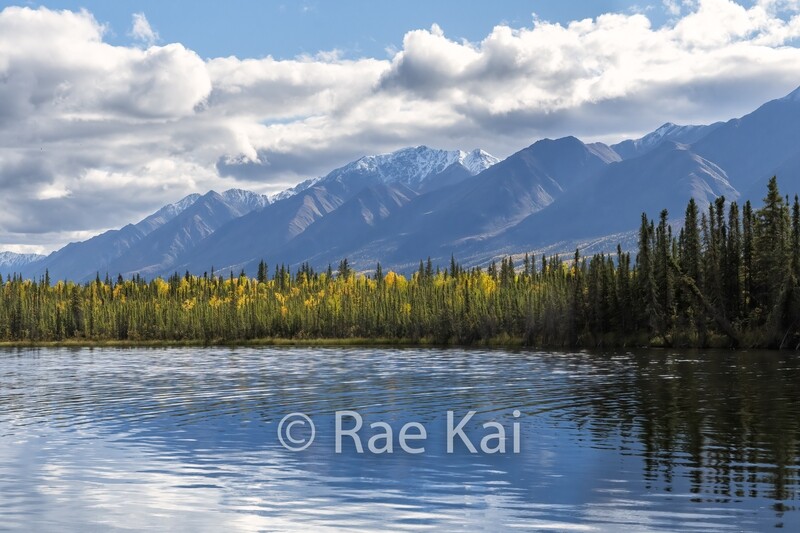Alcan Lake-Traditional Photo