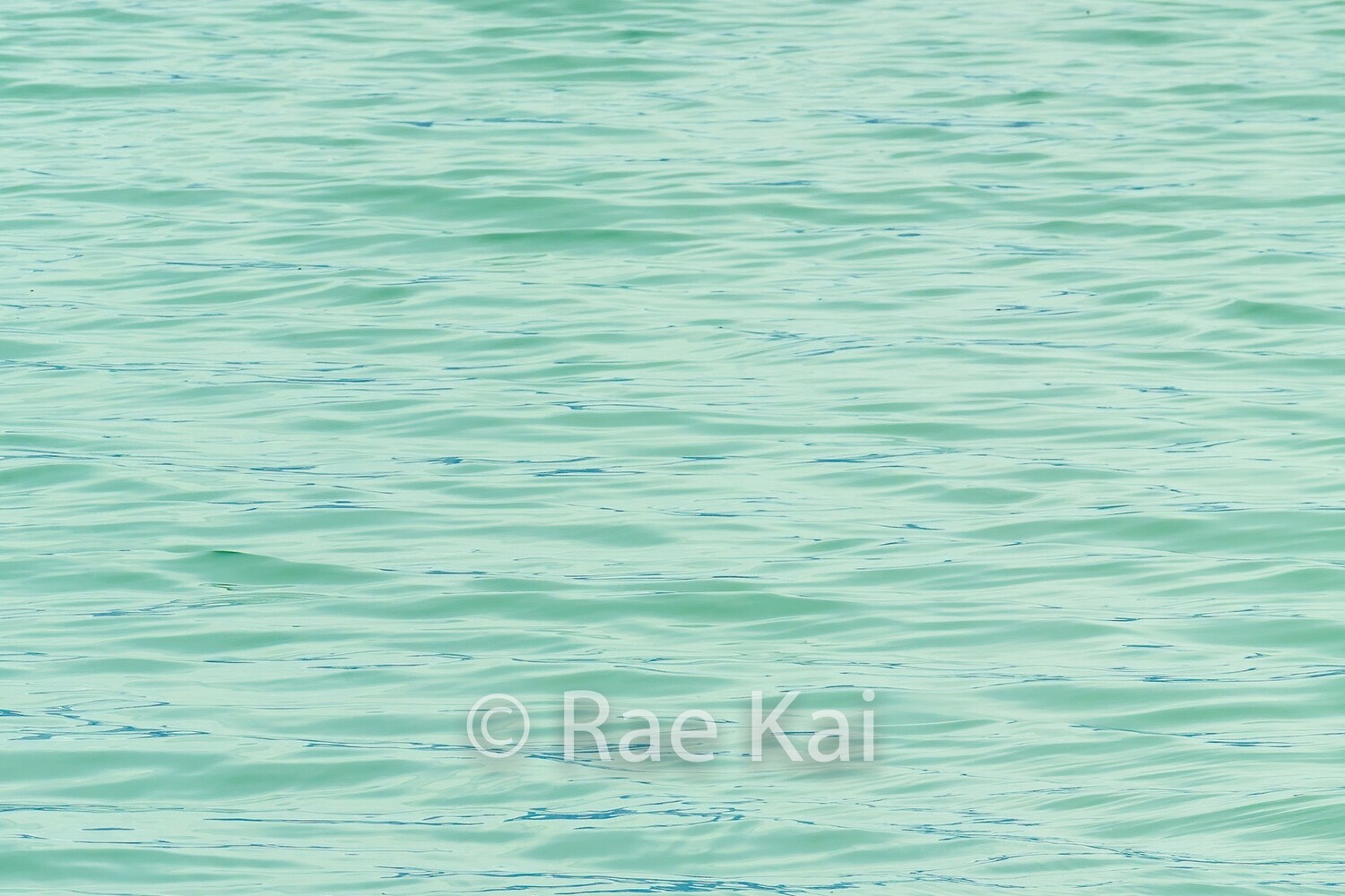 Waterscape-Traditional Photo