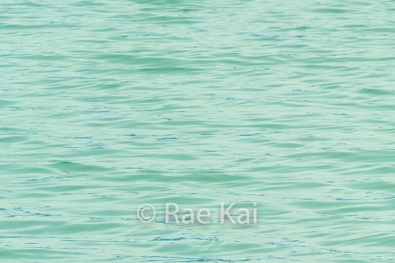 Waterscape-Traditional Photo