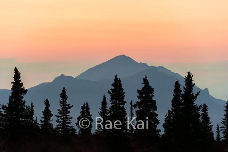 Silhouette Sunset-Traditional Photo
