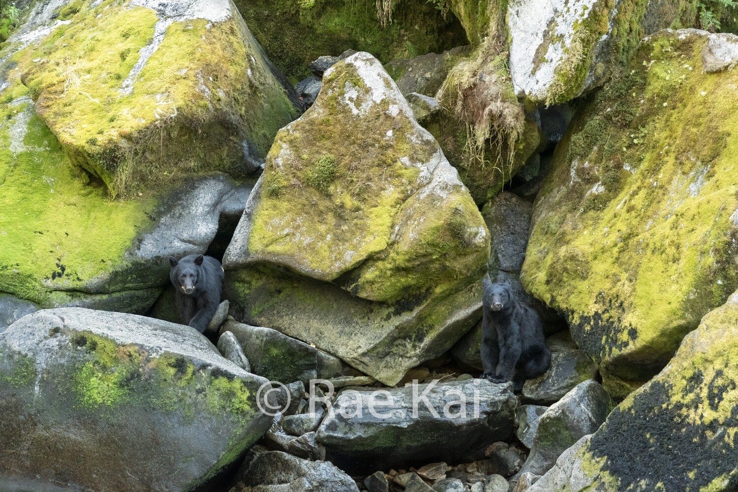 Rock Balance-Traditional Photo