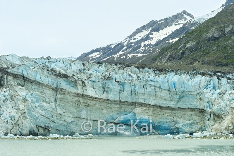 Lamplugh Glacier-Traditional Photo