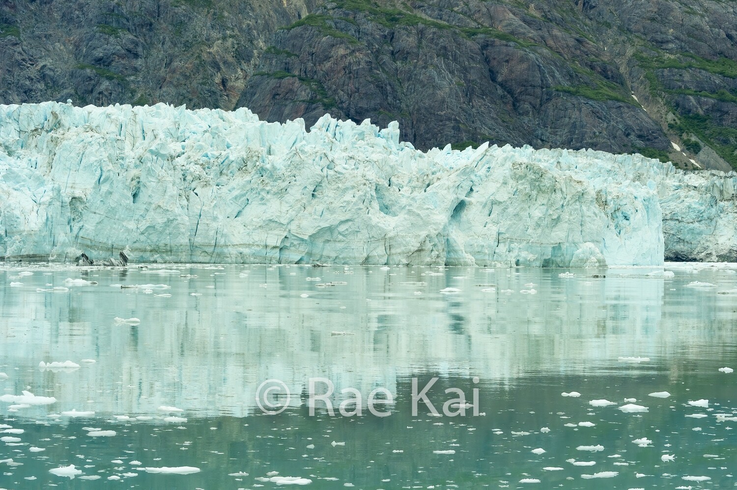 Marjorie Green Reflection-Traditional Photo