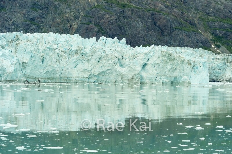 Marjorie Green Reflection-Traditional Photo