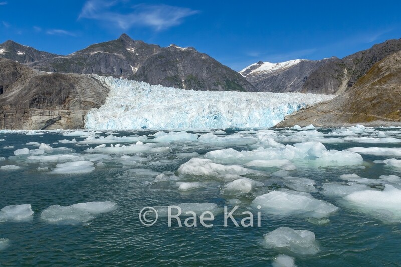 Leconte Glacier-Traditional Photo