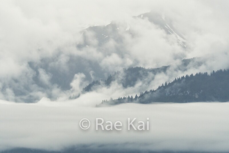Surrounding Fog-Traditional Photo