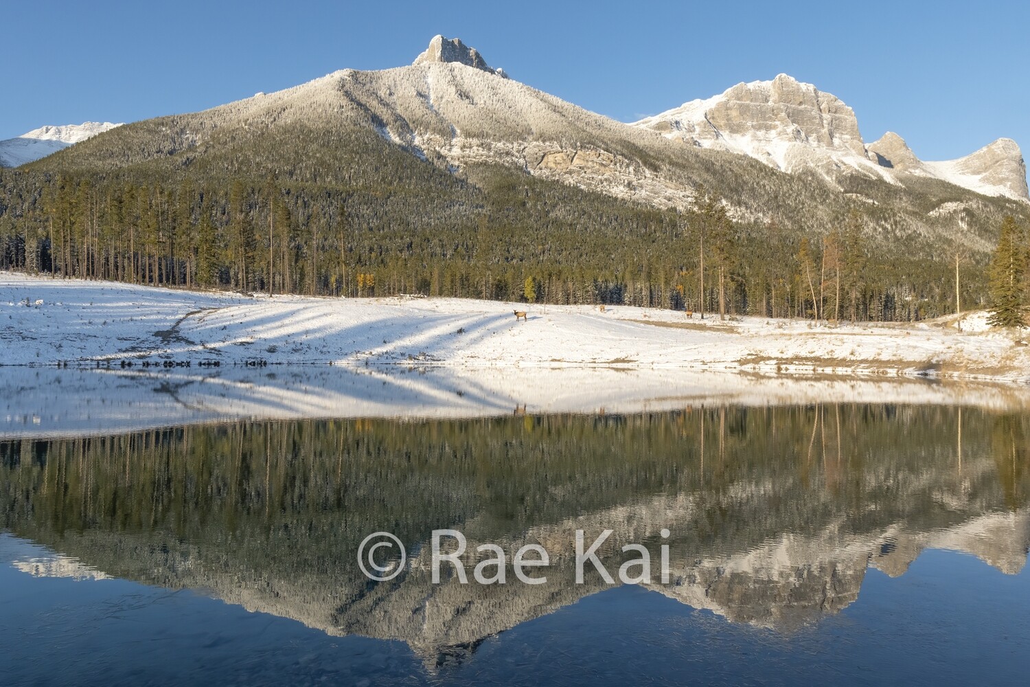 Water Reflection-Traditional Photo