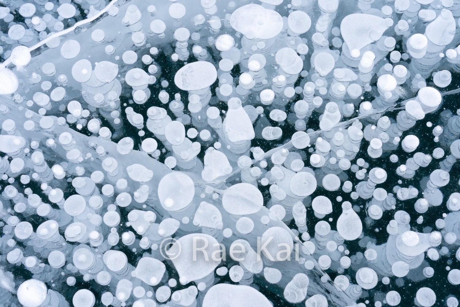Frozen Bubbles-Traditional Photo