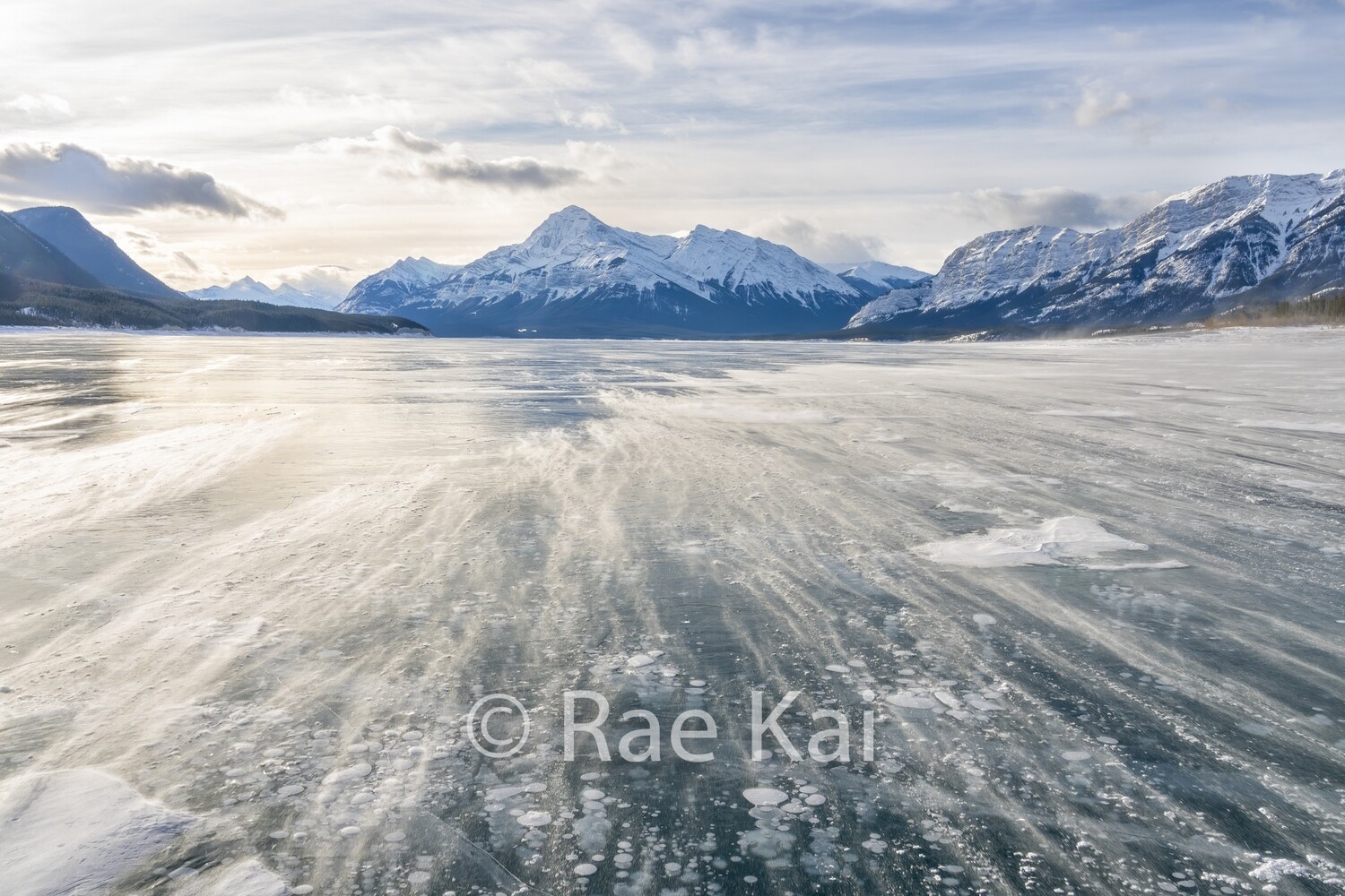 Wind Blown Lake-Traditional Photo