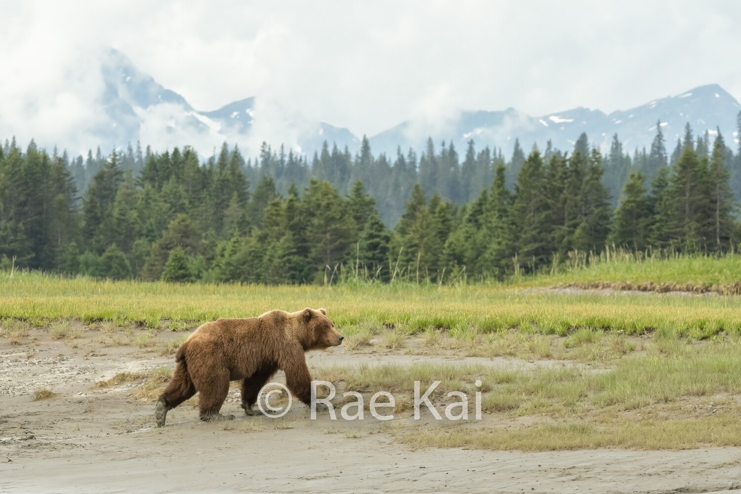 Mountain Return-Traditional Photo