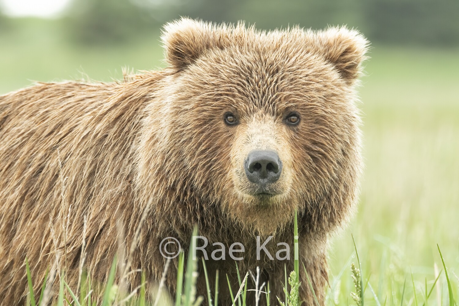 Rainy Face-Traditional Photo