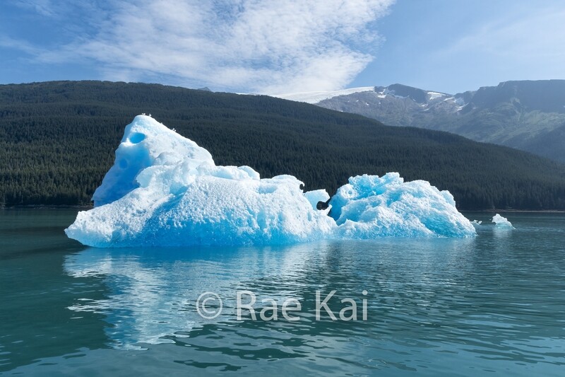 Coastal Iceberg-Traditional Photo