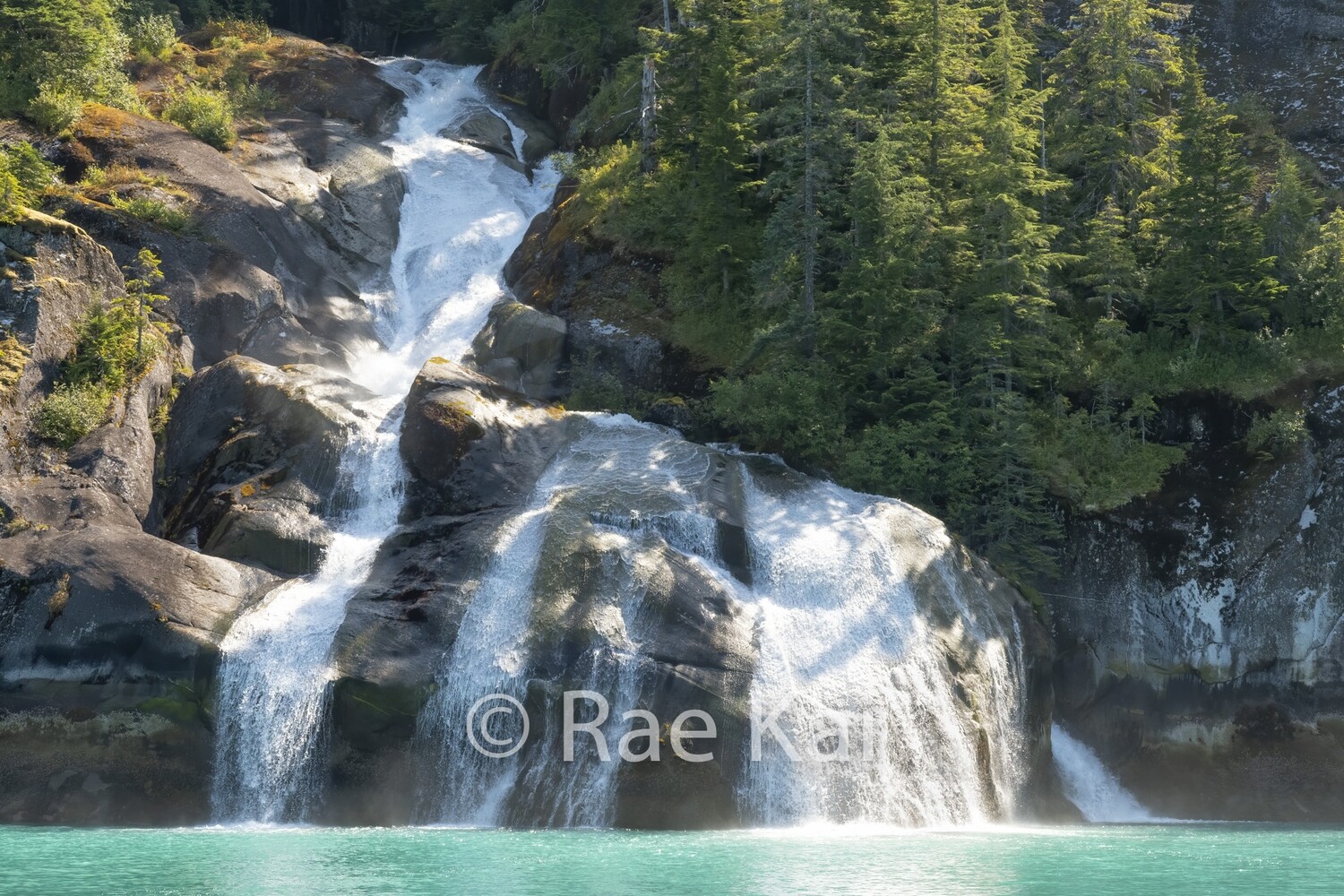 Four Plunge Falls-Traditional Photo