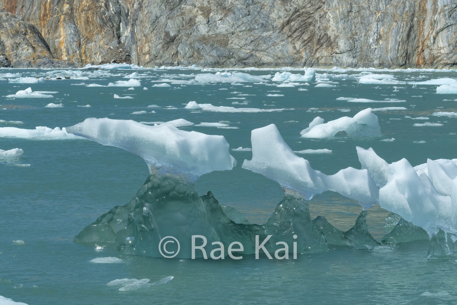 Ice Whale Tails-Traditional Photo