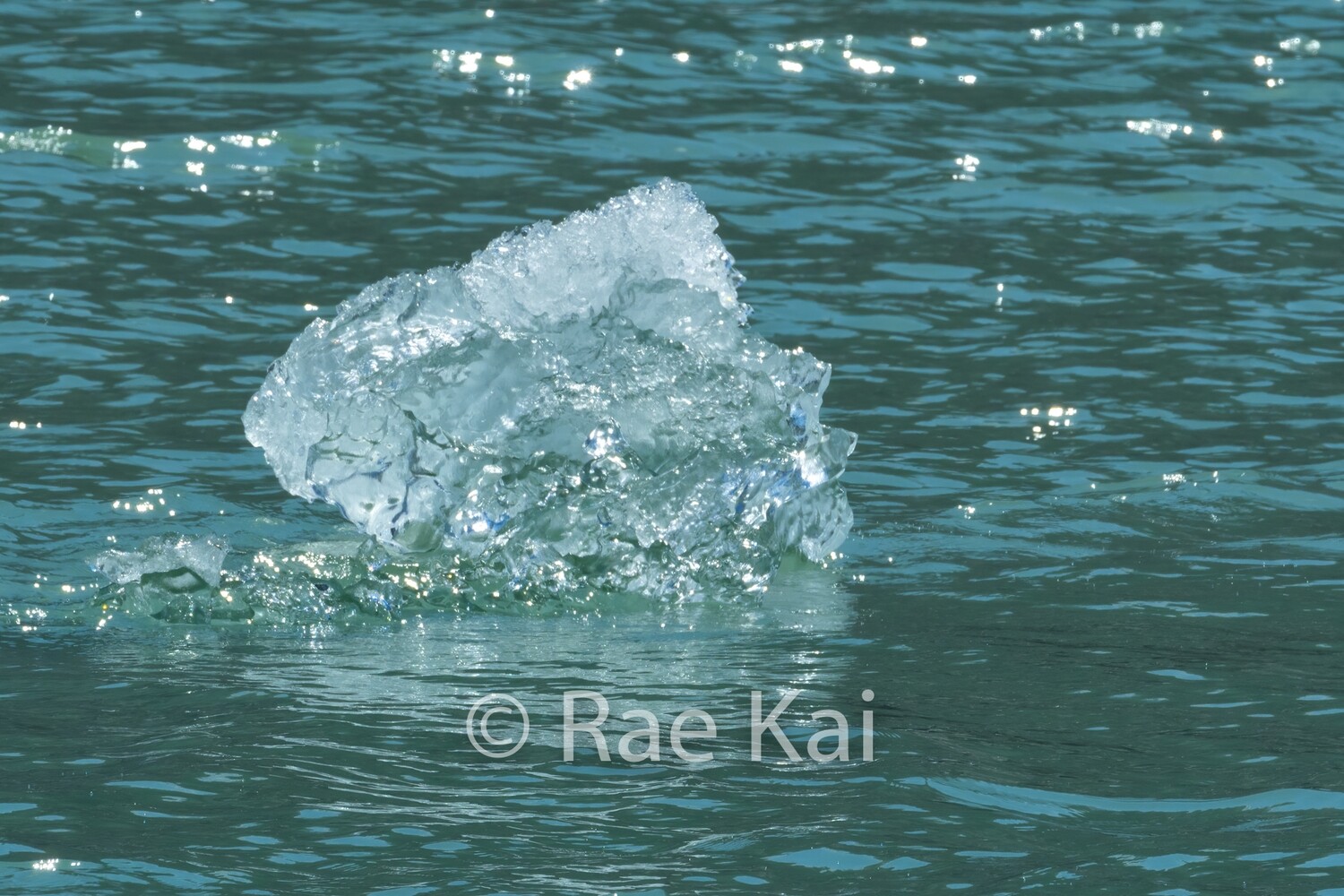 Shimmering Ice-Traditional Photo