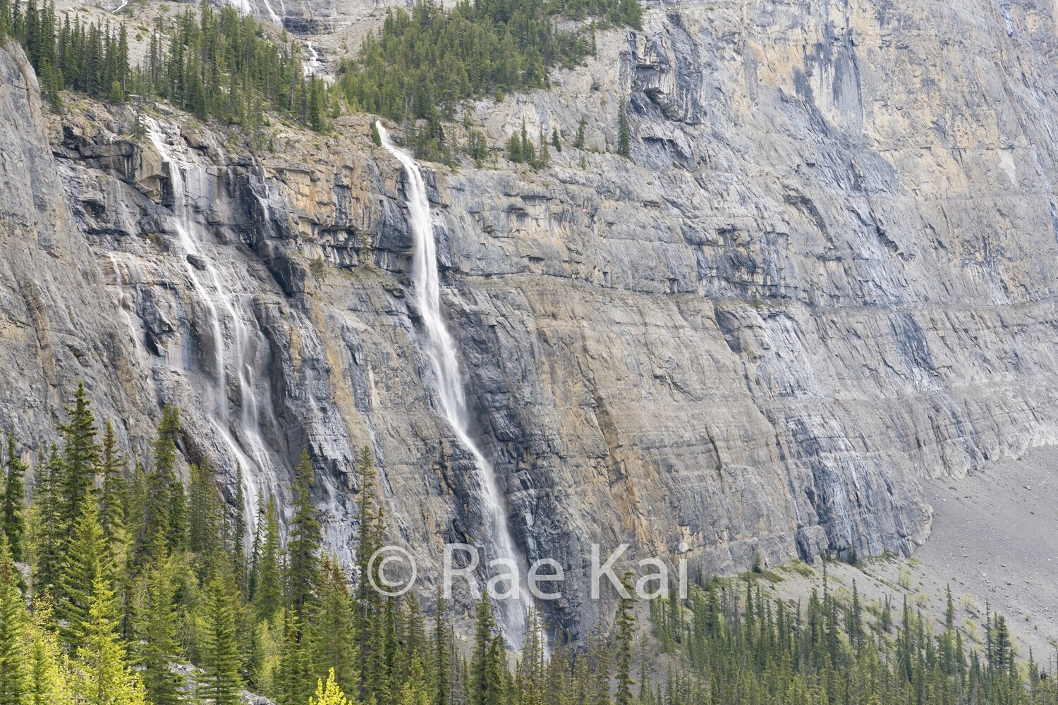 Weeping Cliffs-Traditional Photo