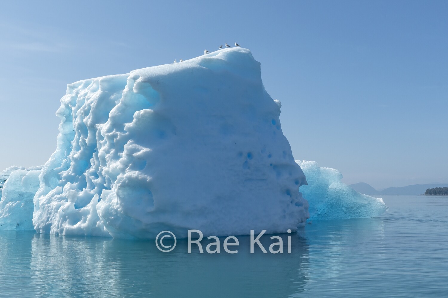 Ice Dice-Traditional Photo