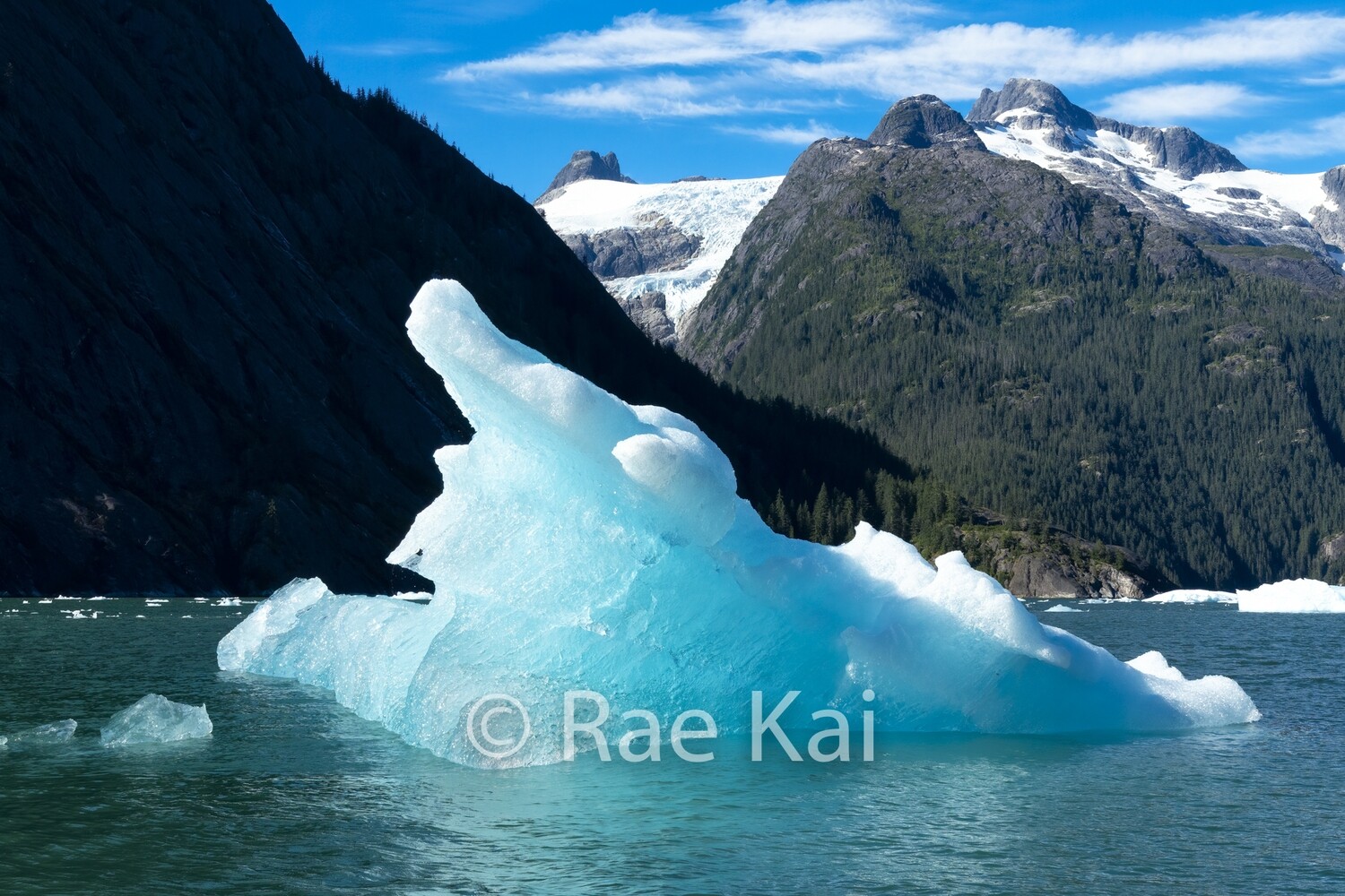 Icy Scene-Traditional Photo