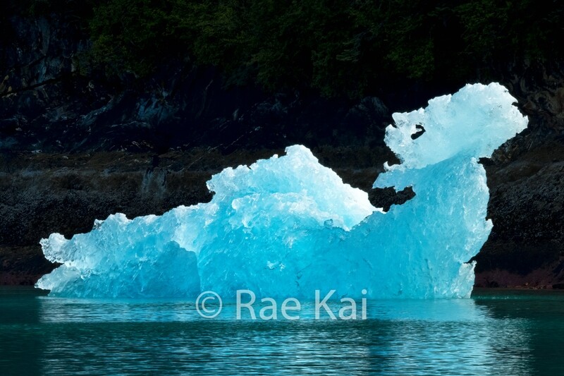 Whale Ice-Traditional Photo