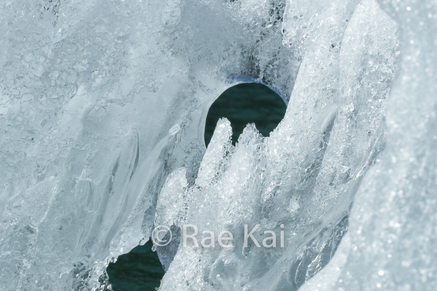 Crystallized-Traditional Photo
