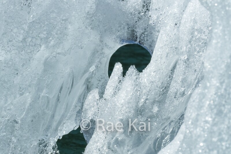 Crystallized-Traditional Photo
