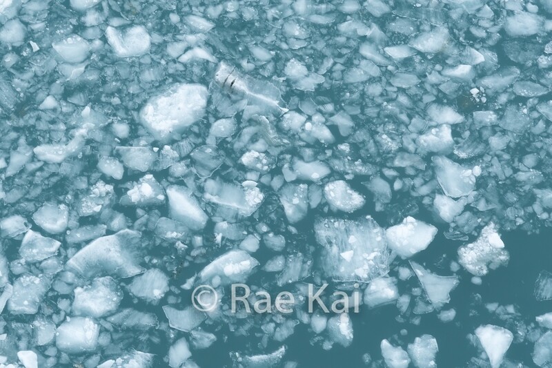 Glacier Melt-Traditional Photo
