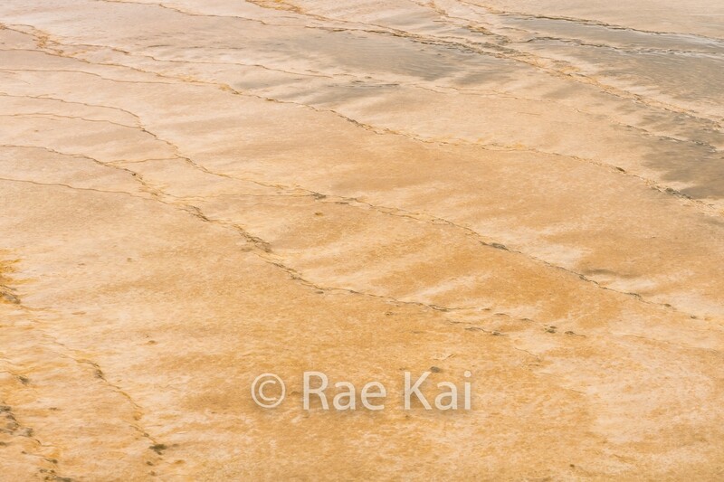 Textured Color-Traditional Photo