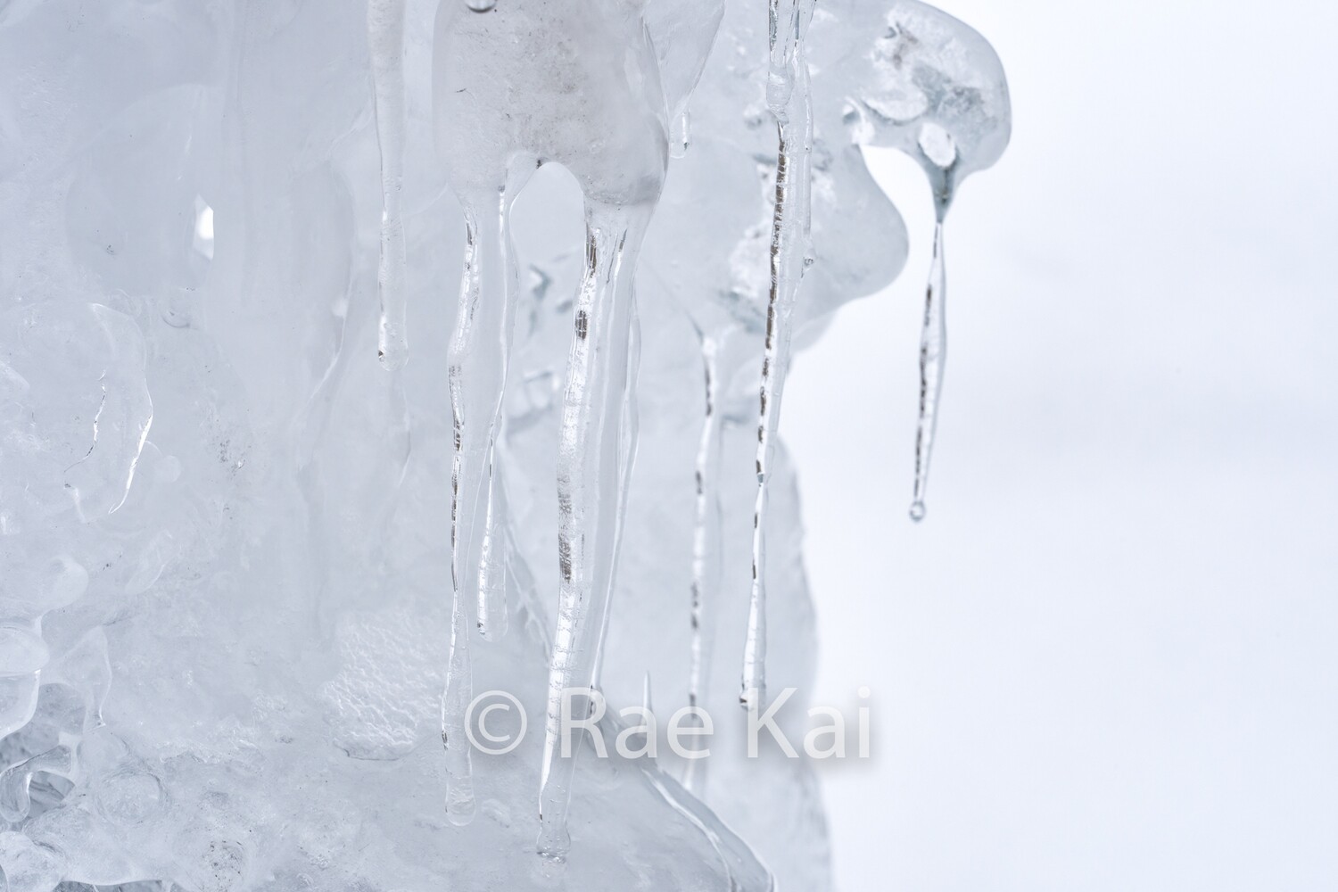 Icicles-Traditional Photo