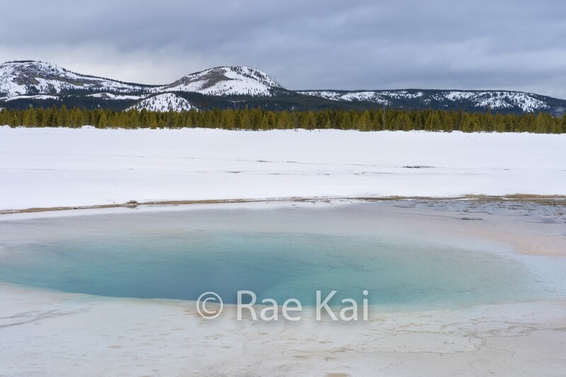 Aqua Spring-Traditional Photo
