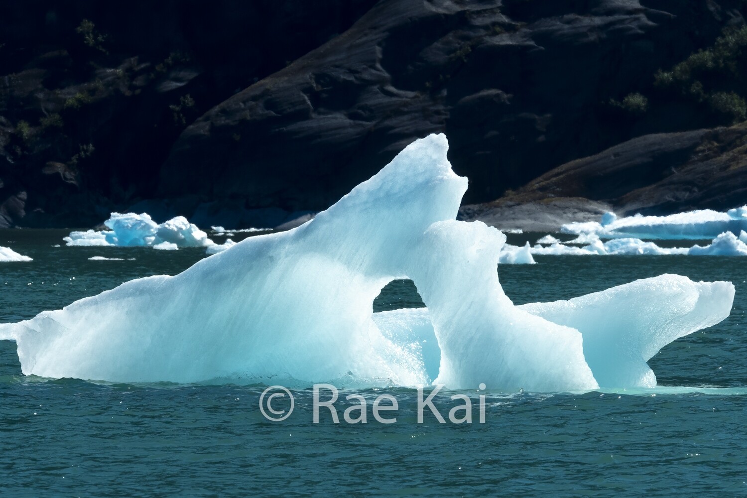 Open Iceberg-Traditional Photo