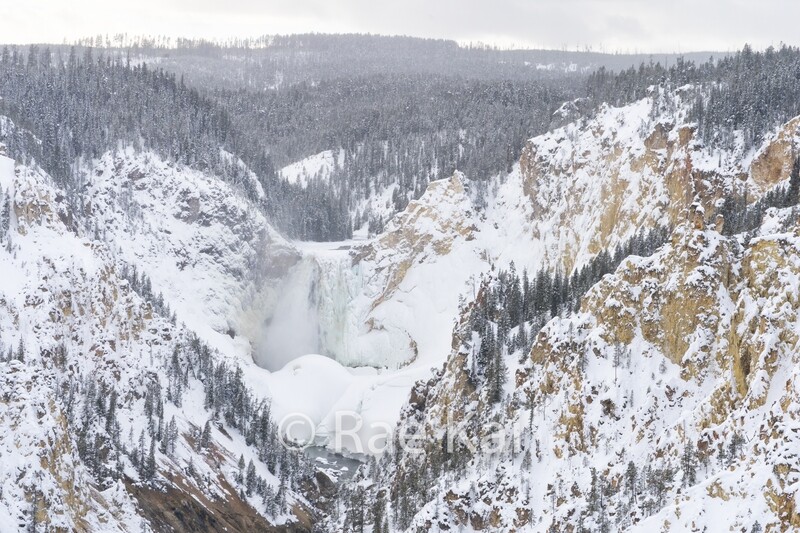 Winter Canyon-Traditional Photo
