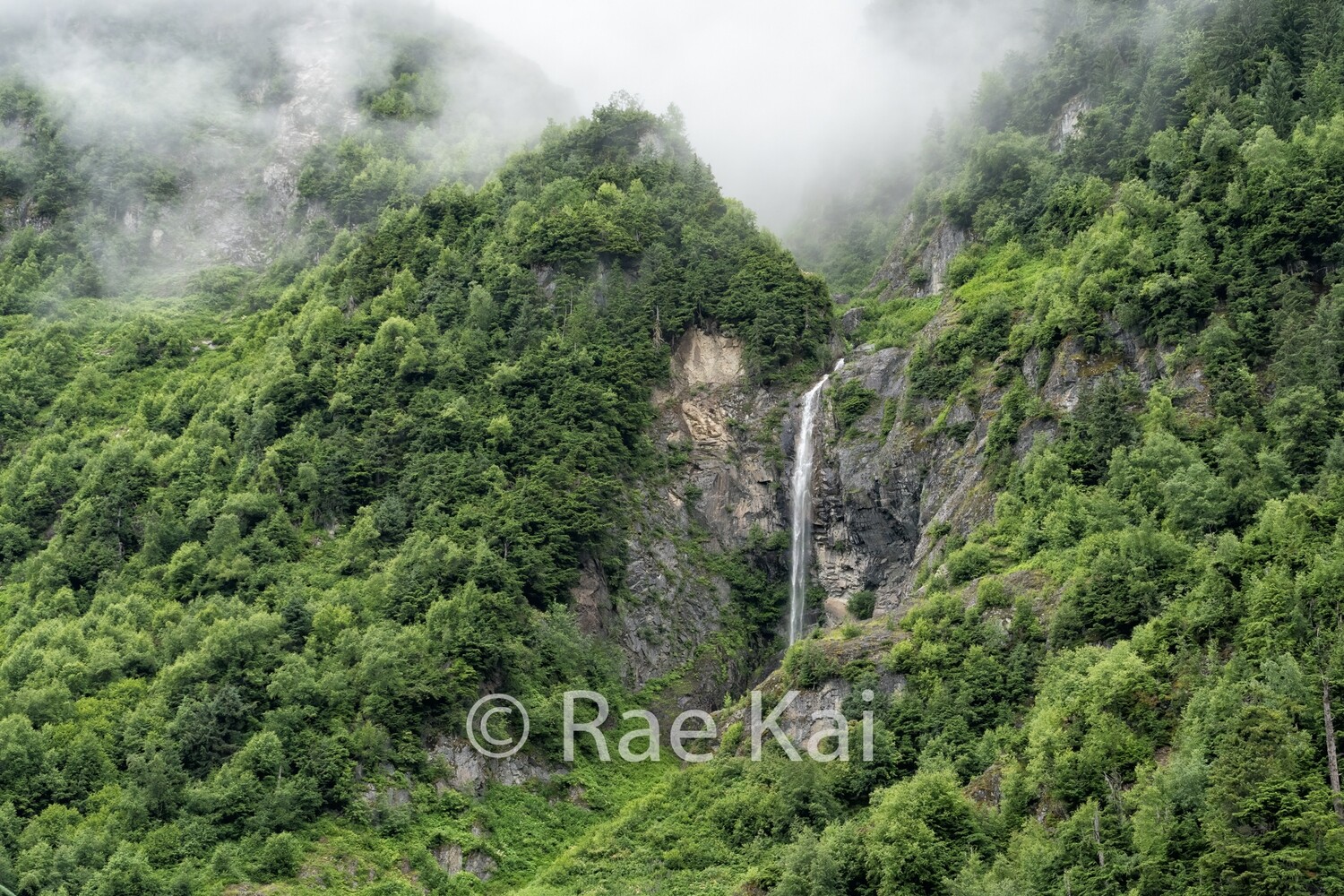 Rainforest Waterfall-Traditional Photo