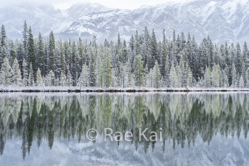 Early Winter-Traditional Photo