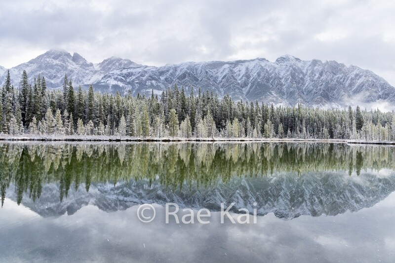 Winter's Reflection-Traditional Photo