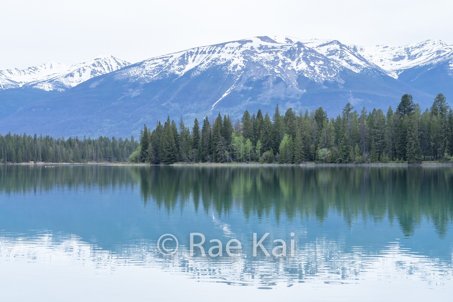 Nature&#39;s Reflection-Traditional Photo