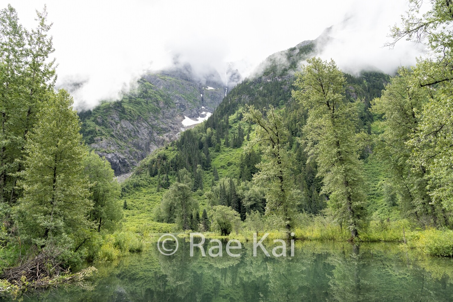 Lush Lake-Traditional Photo