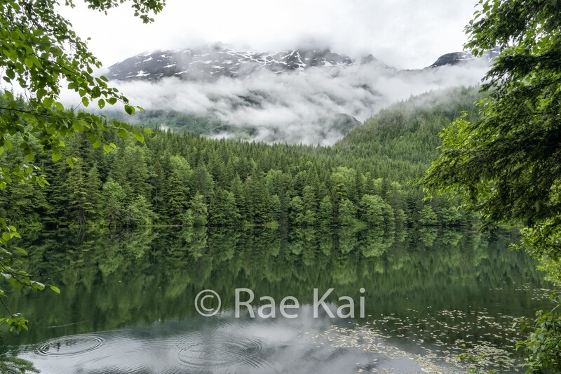 Serenity-Traditional Photo