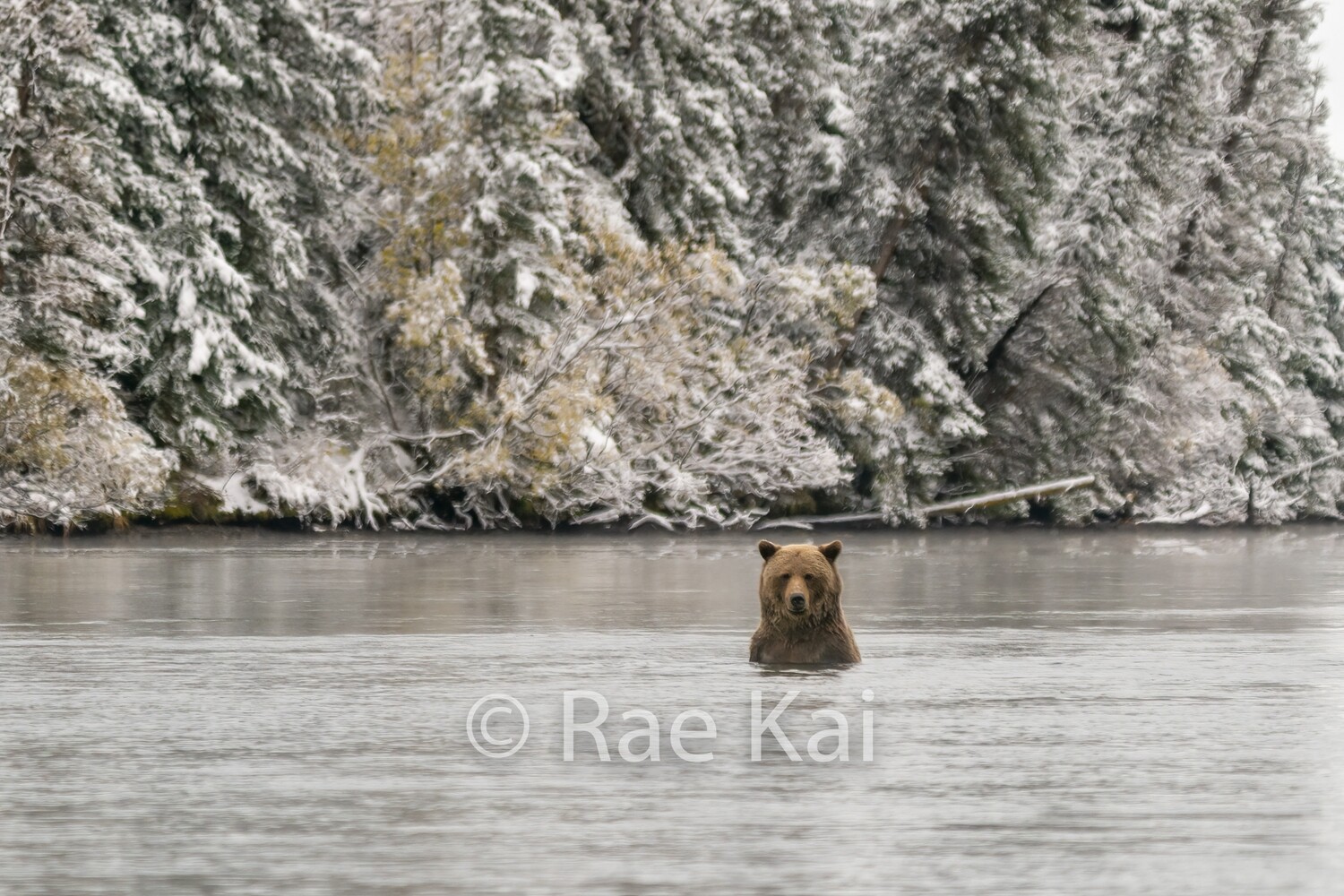 Snow Fishing-Traditional Photo