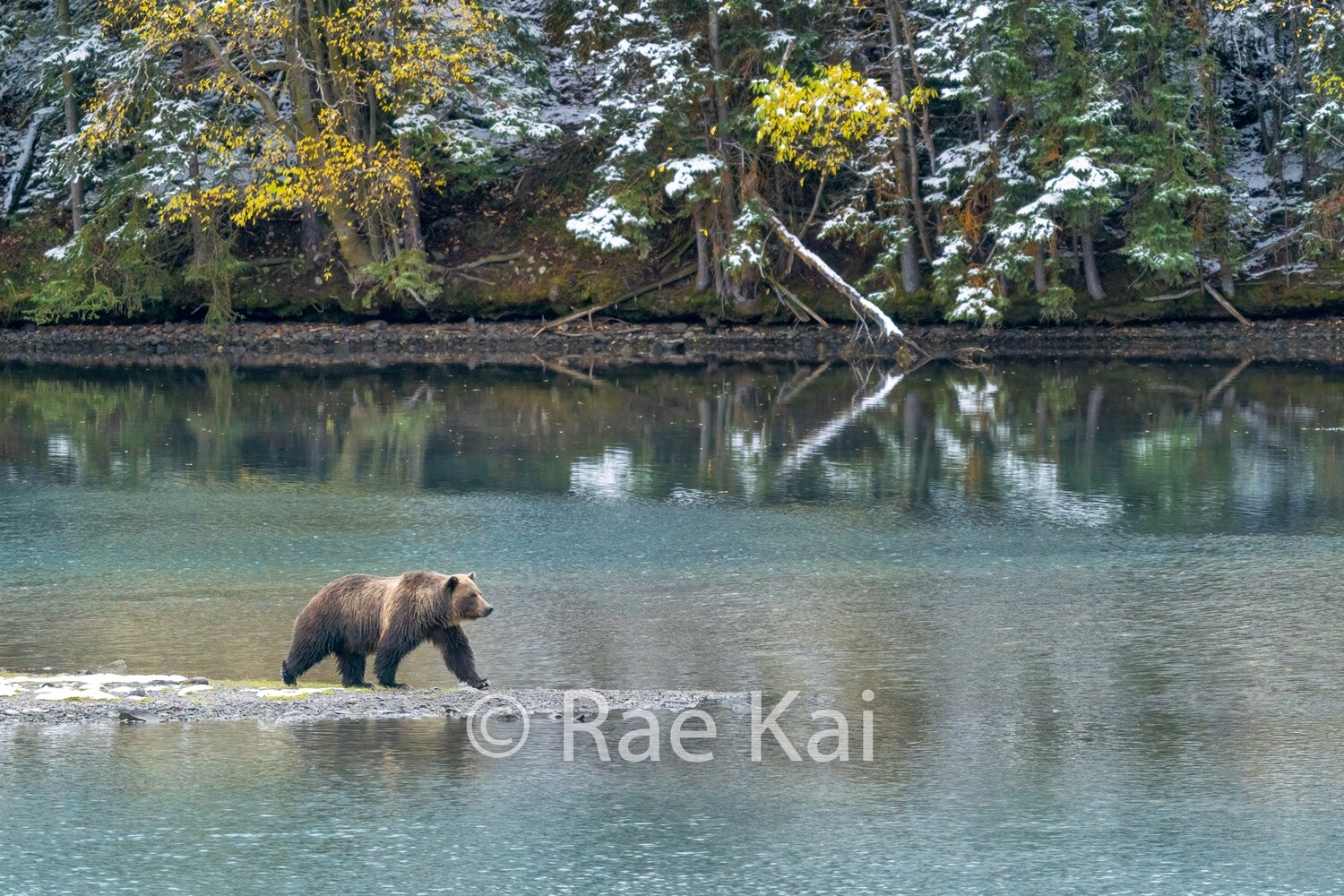 Water Dreams-Traditional Photo