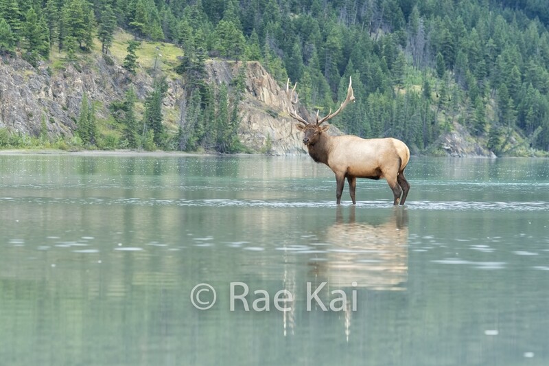 Turquoise Reflection-Traditional Photo