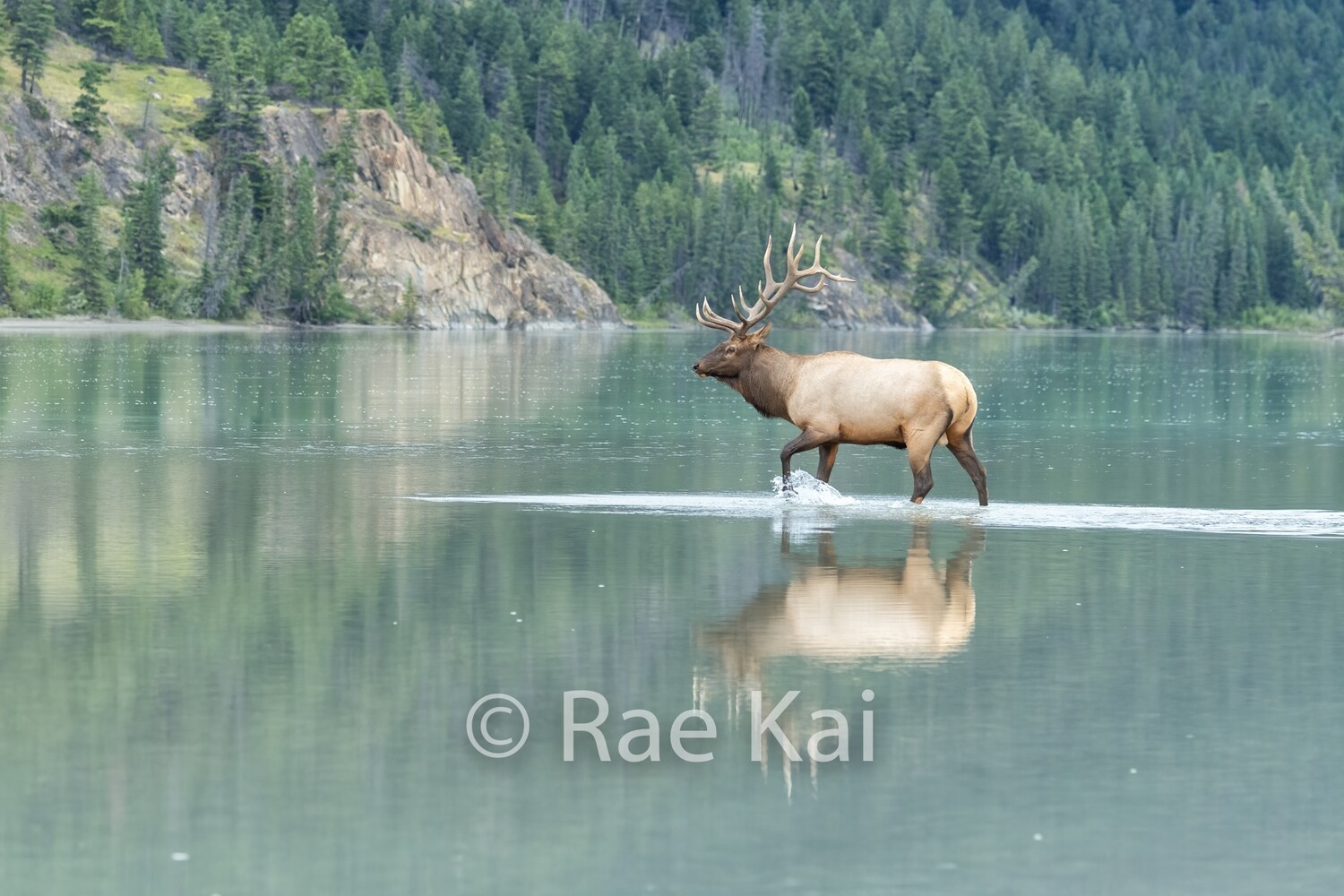 Water Walker-Traditional Photo
