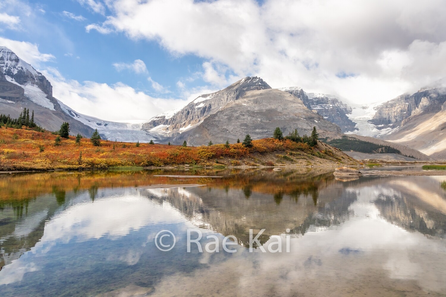 Canadian Icefields-Traditional Photo